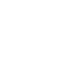 Ananta Institute 